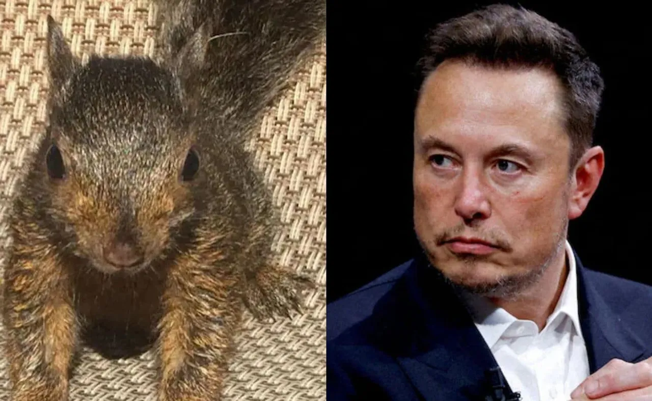 elon musk 123