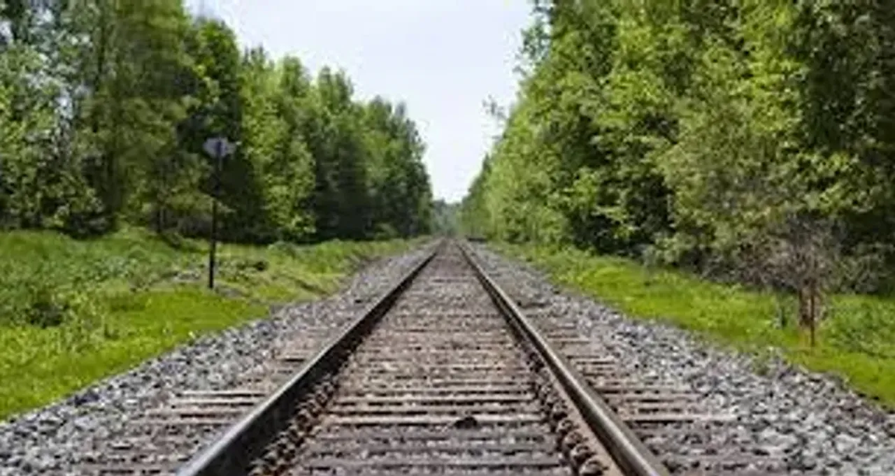 shabari rail project