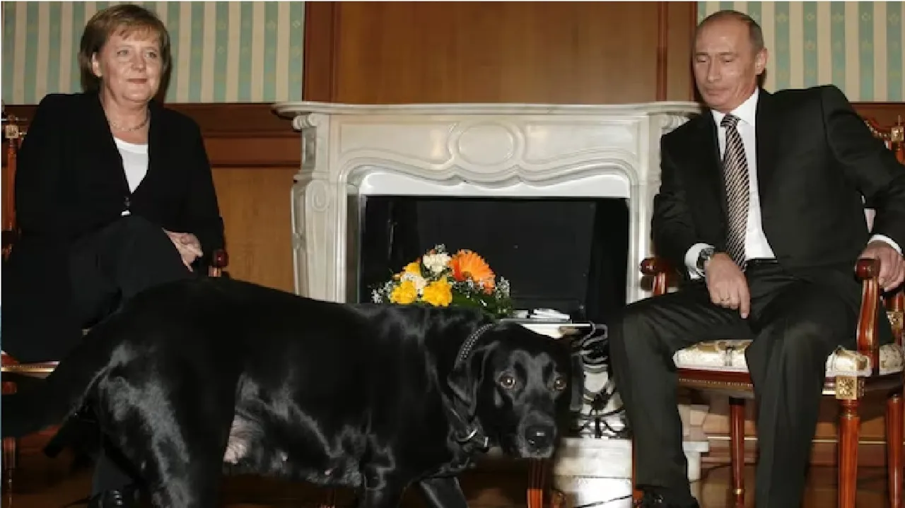 Angela, forgive me: Putin denies he tried to scare ex-German Chancellor with dog