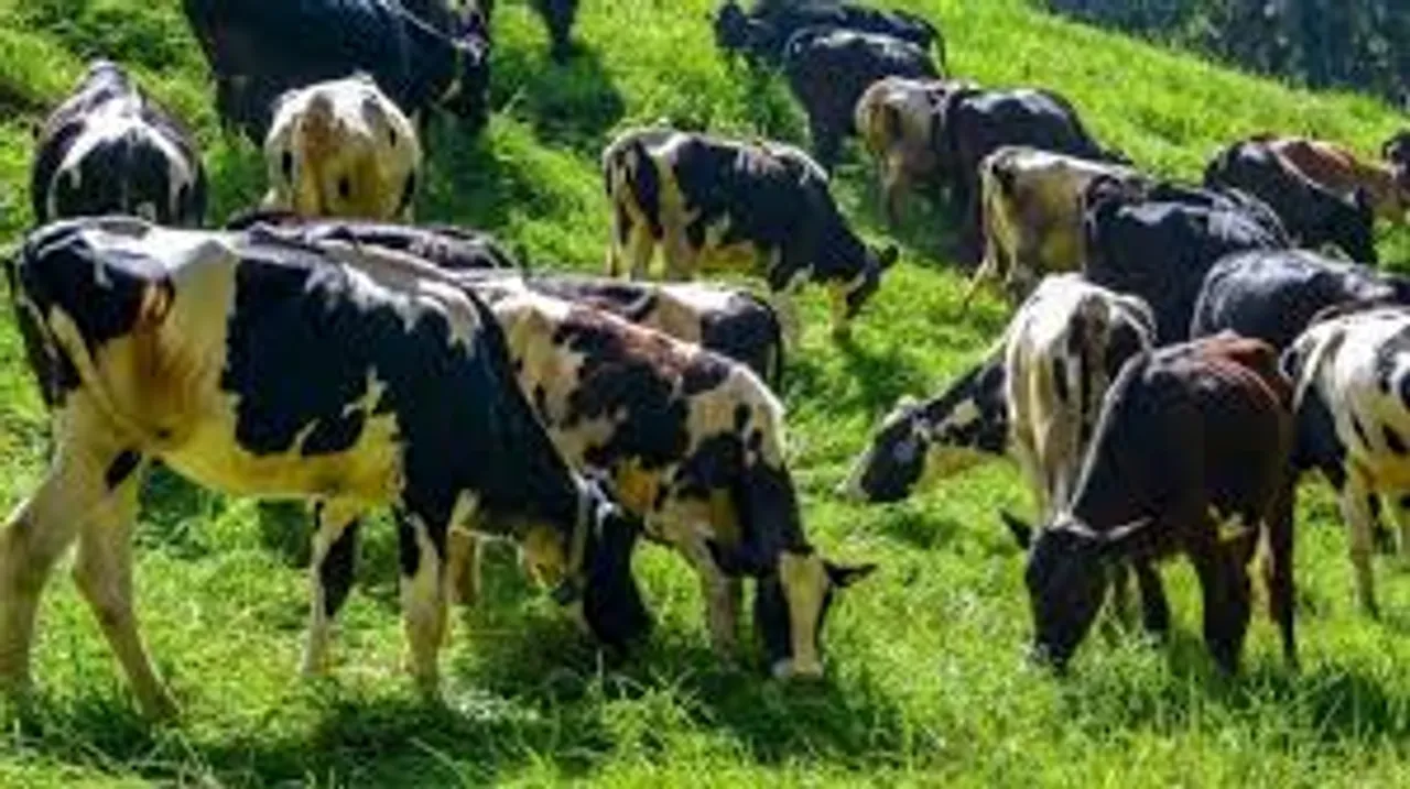 kheeragram panhyth 1