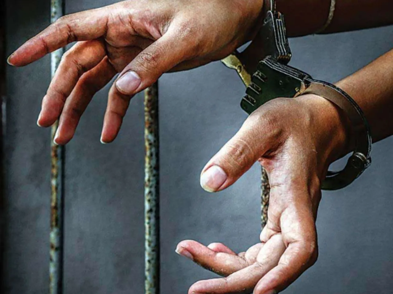 arrest231