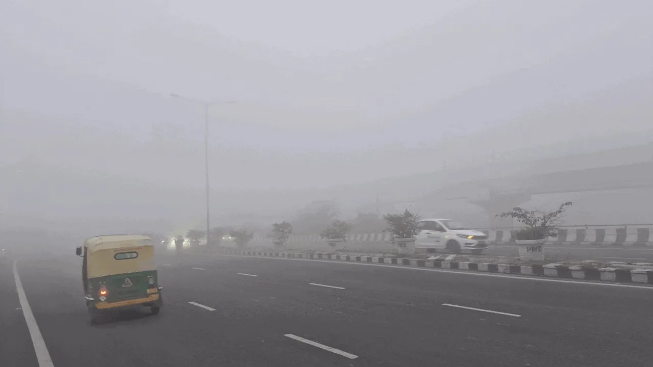 Cold wave sweeps North India, blinding fog in several cities