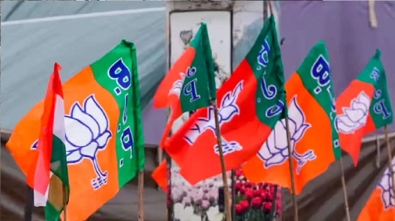 bjp Untitledmuk