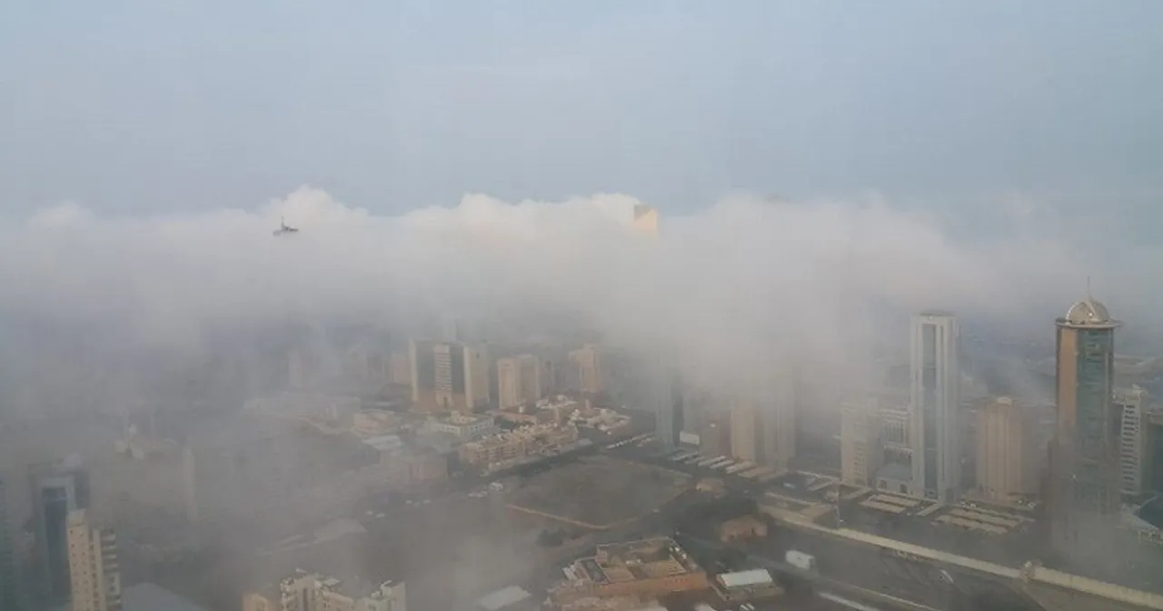 kuwit fog