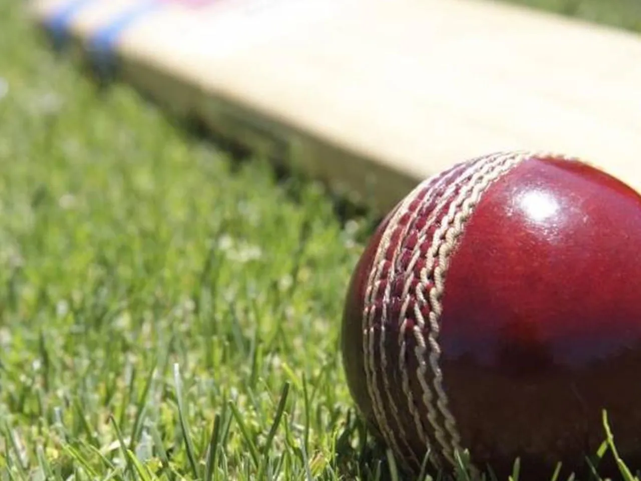 cricket1
