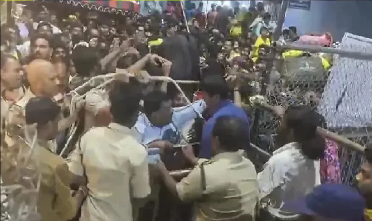 stampede