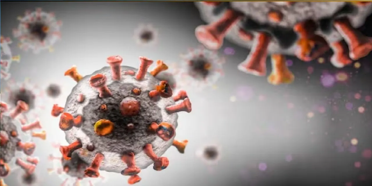 Assam reports first HMPV case this season, 10-month-old tests positive