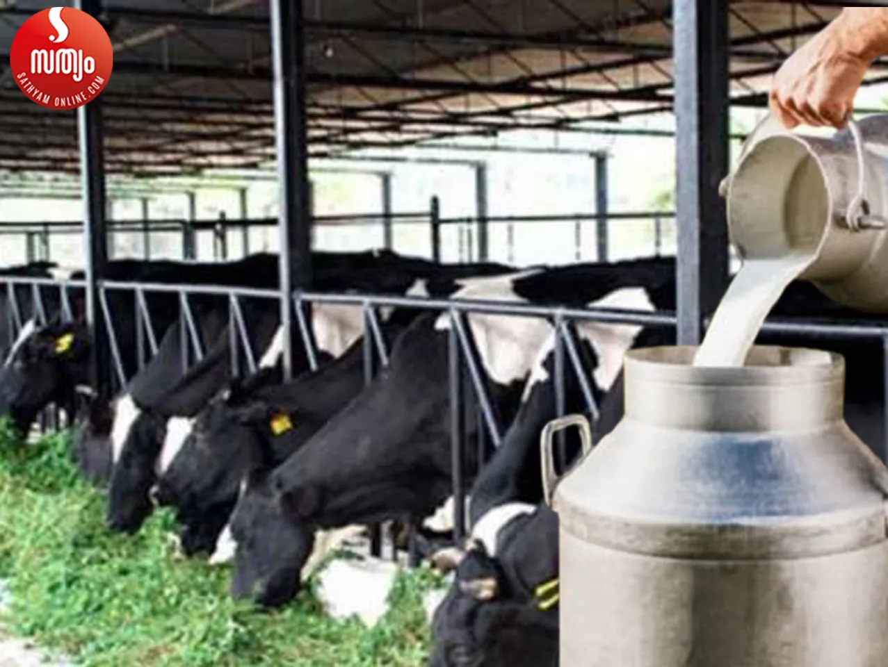 milk farmers-2