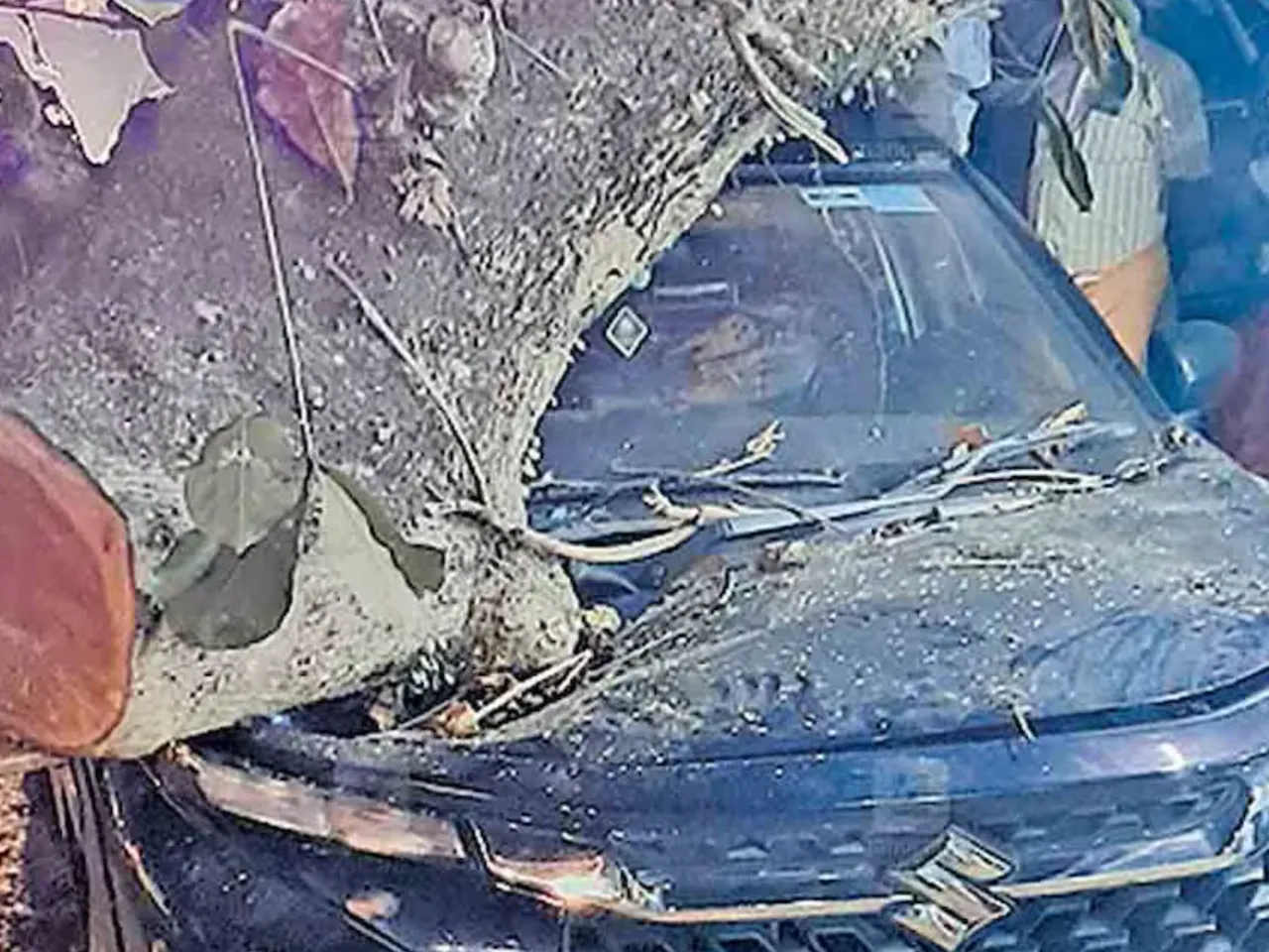 kurupanthara accident