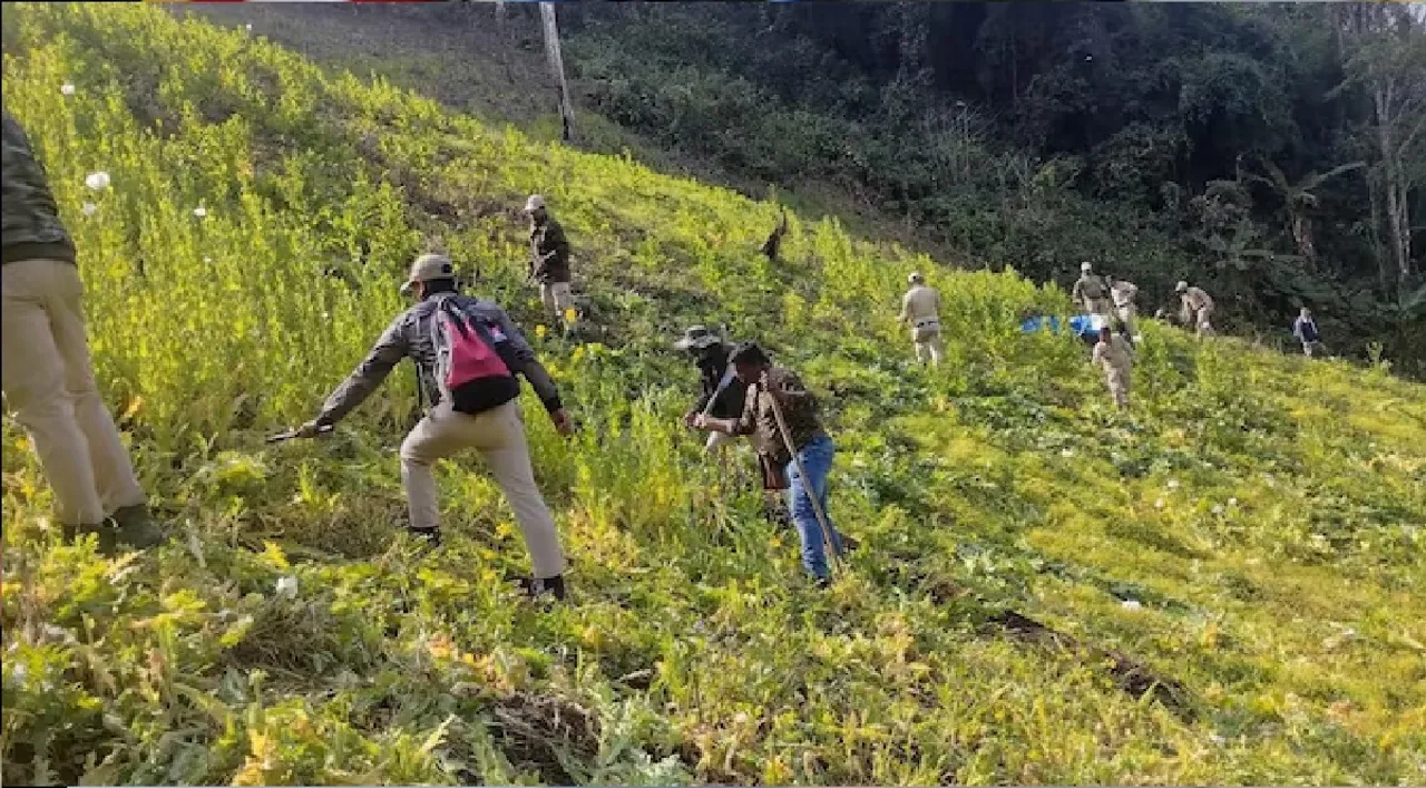 Mob disrupts anti-drug operation in Manipur, Biren Singh warns of action