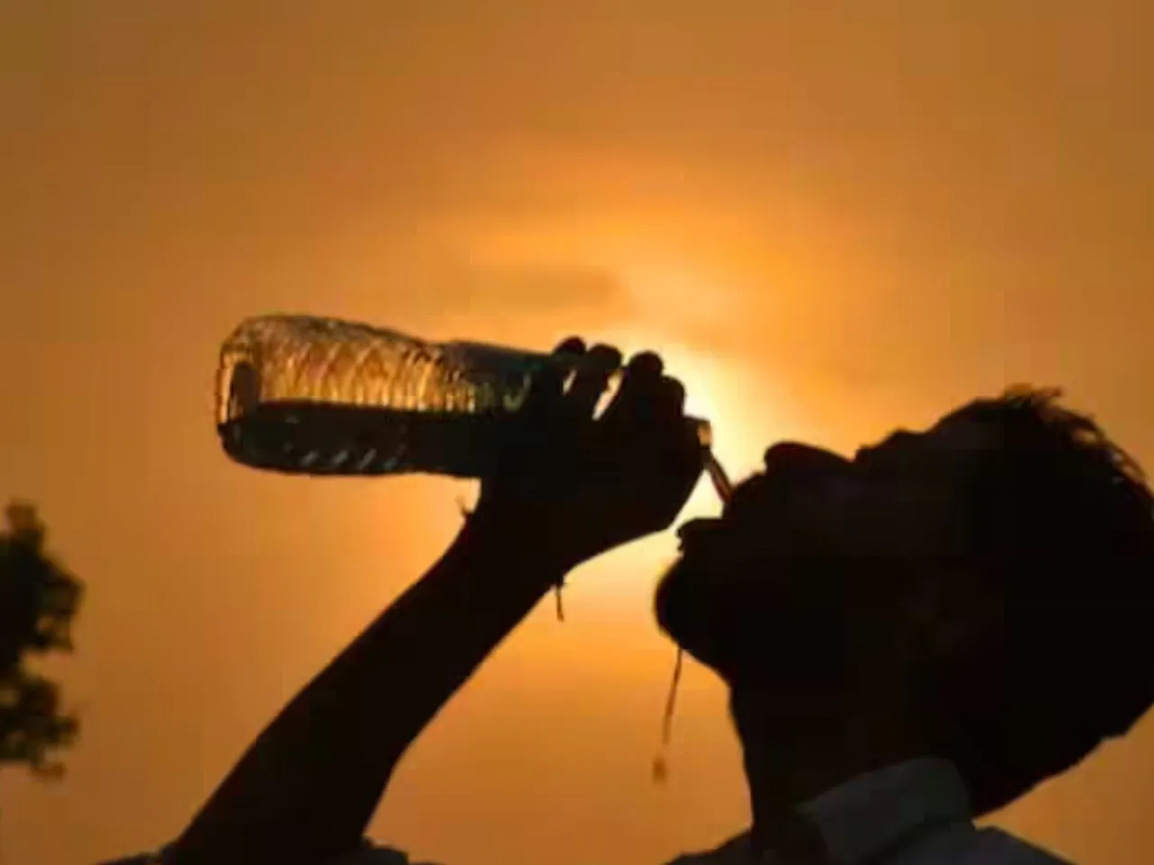 kerala heat 