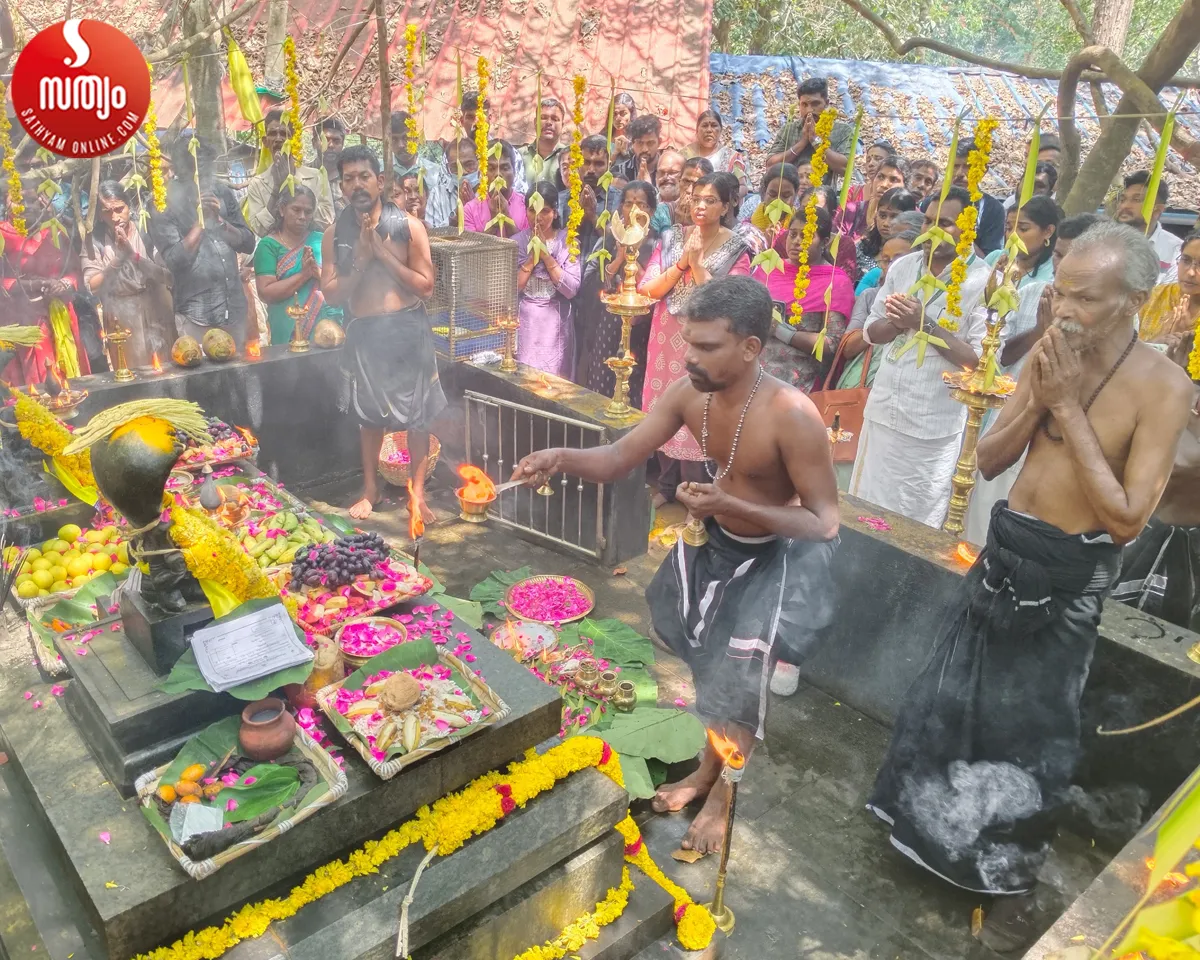 kalleli kavu ayilyam pooja-2