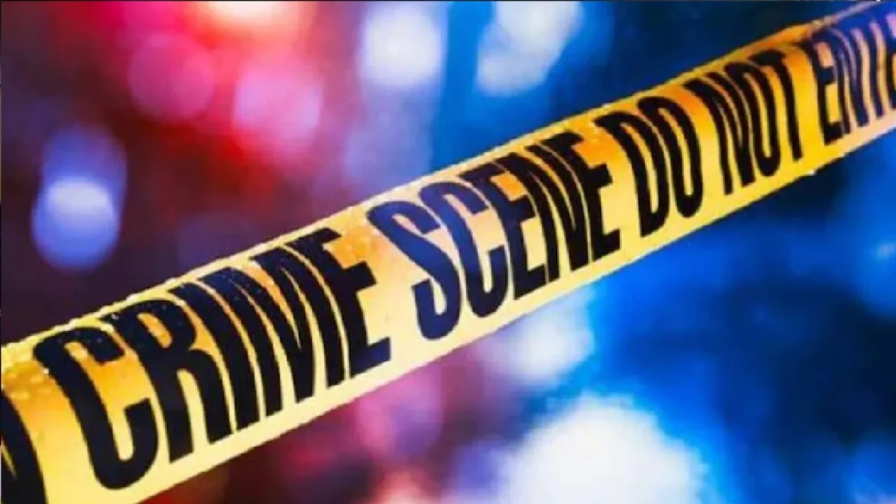 Andhra man tries to rape his aunts, mother kills him, dismembers body