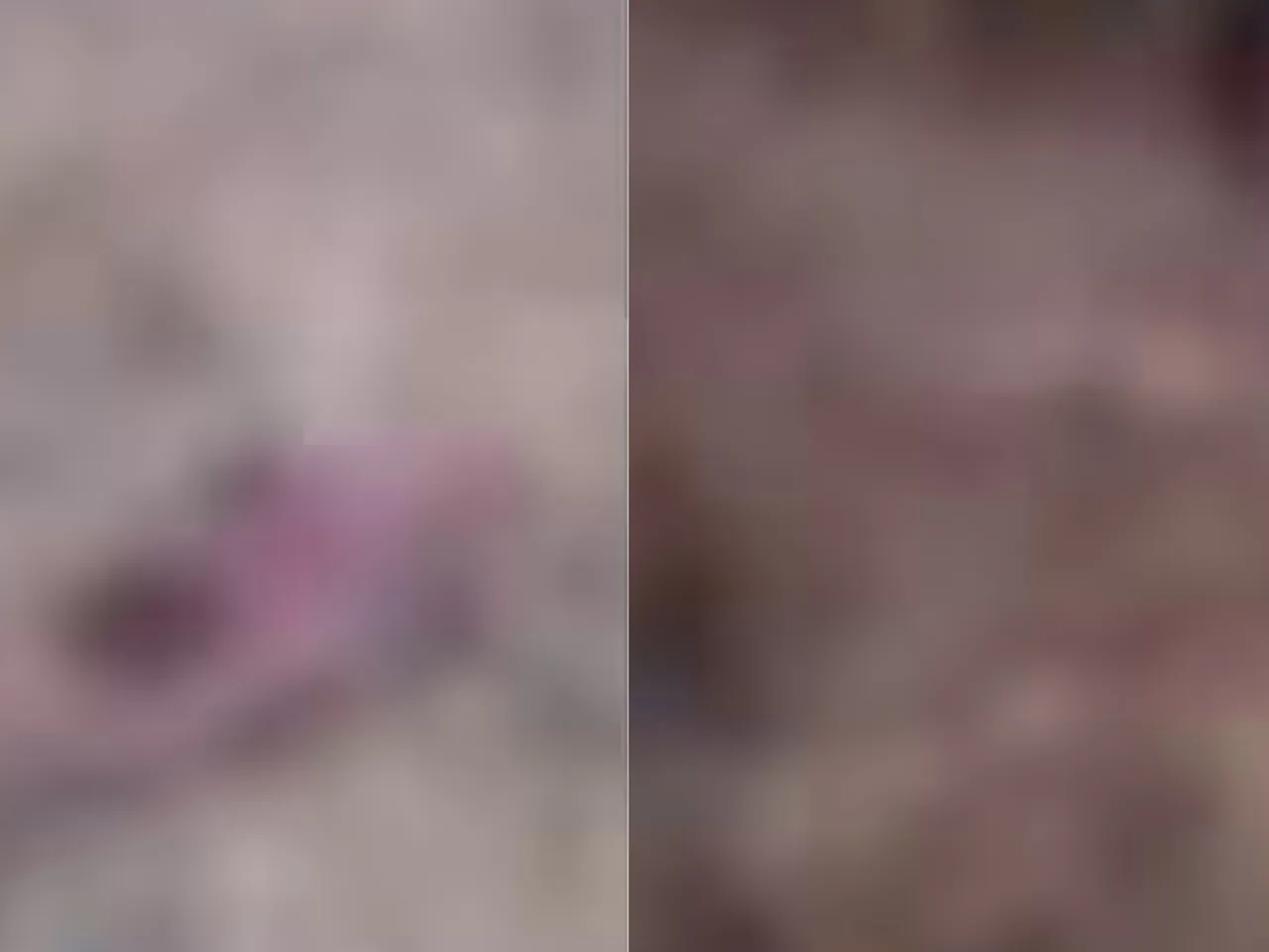 ARALAM FARM ELEPHANT ATTACK