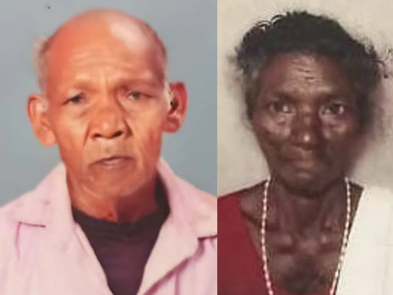 aralam elephant attack