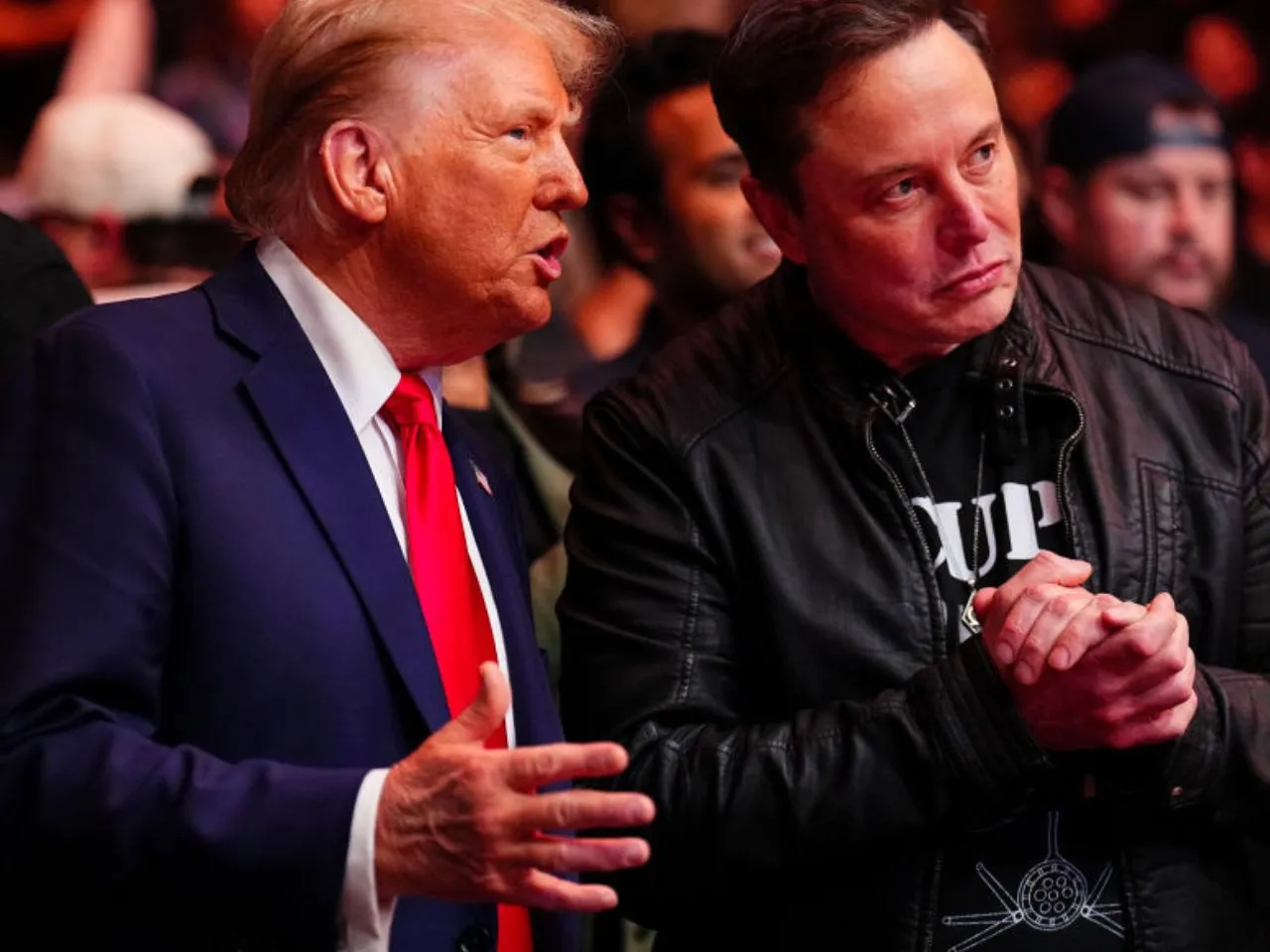 trump and musk