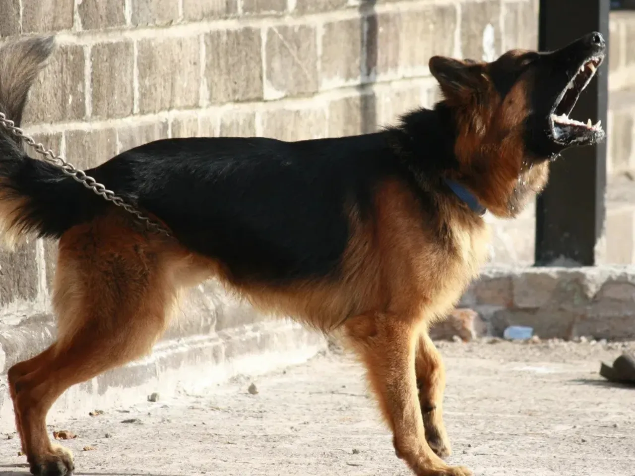 The man and his family sustained injuries during the attack