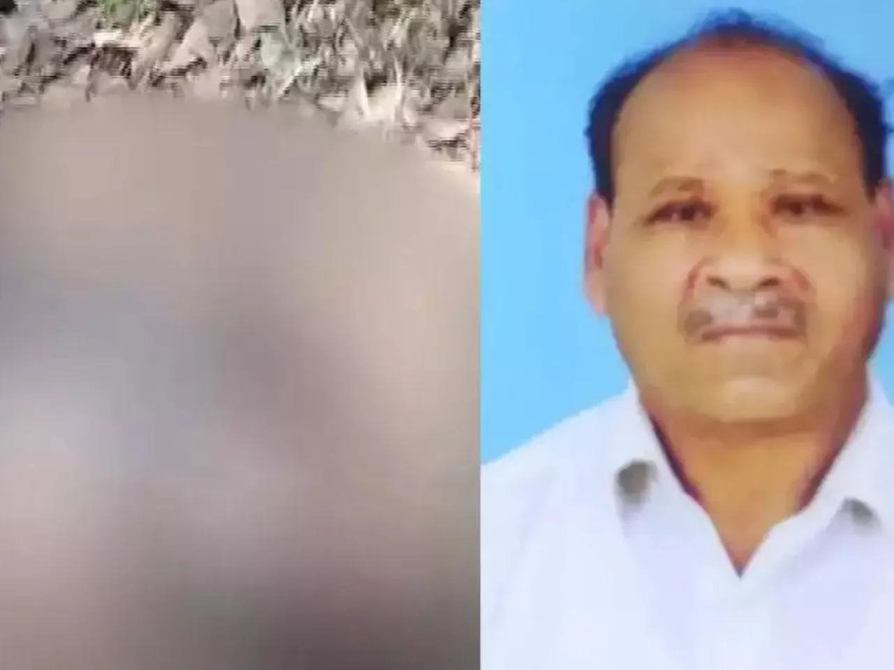 Locals killed a wild boar