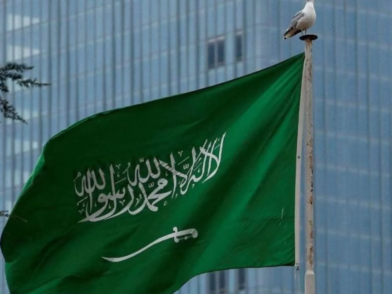 SAUDHI AREBIA FLAG