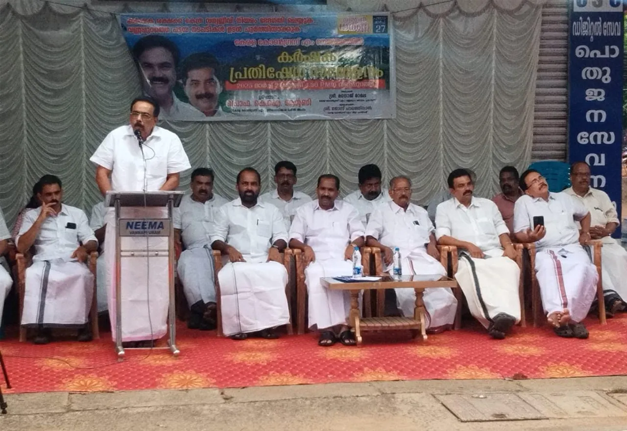 prof k a antony
