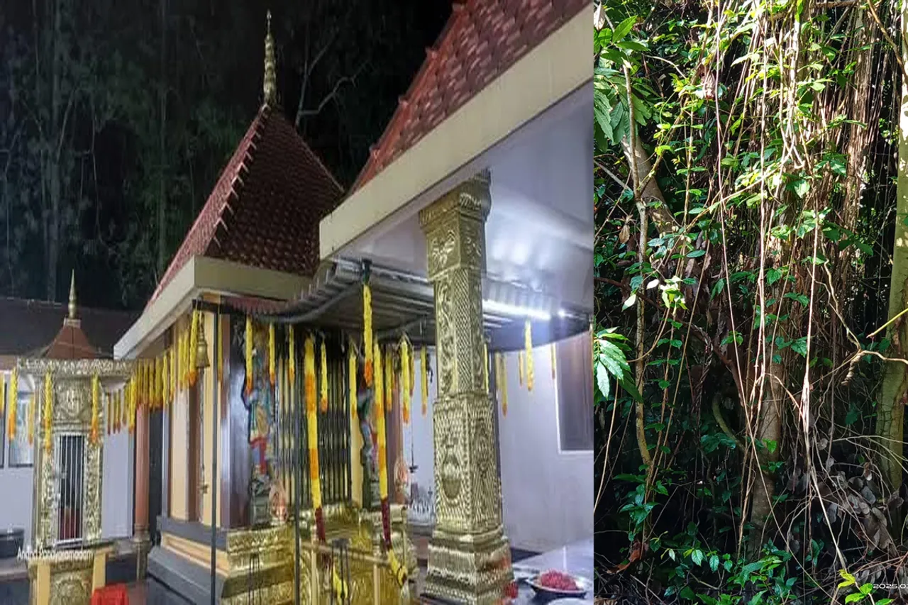 bhagavathi kav idathitta
