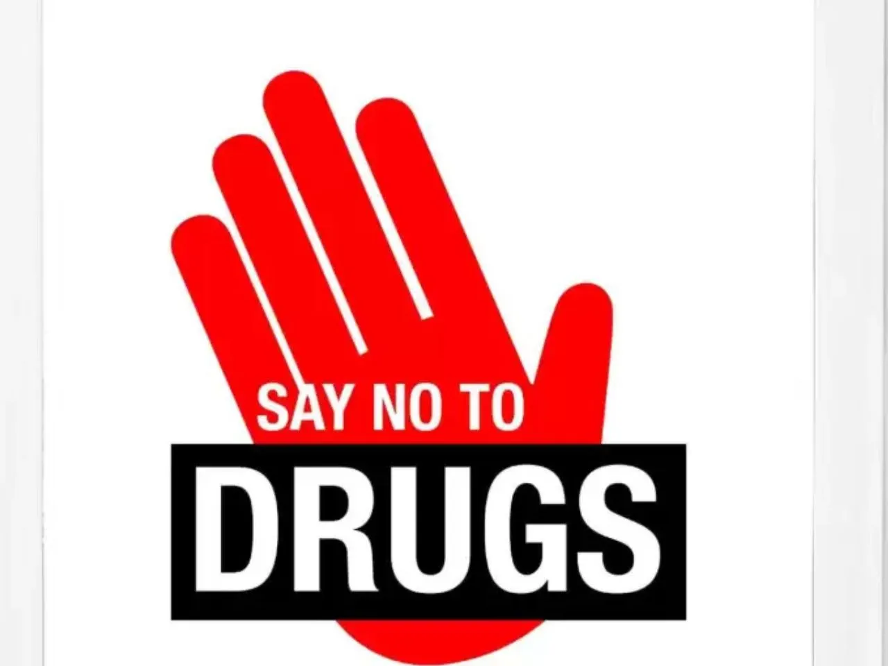 no drugs