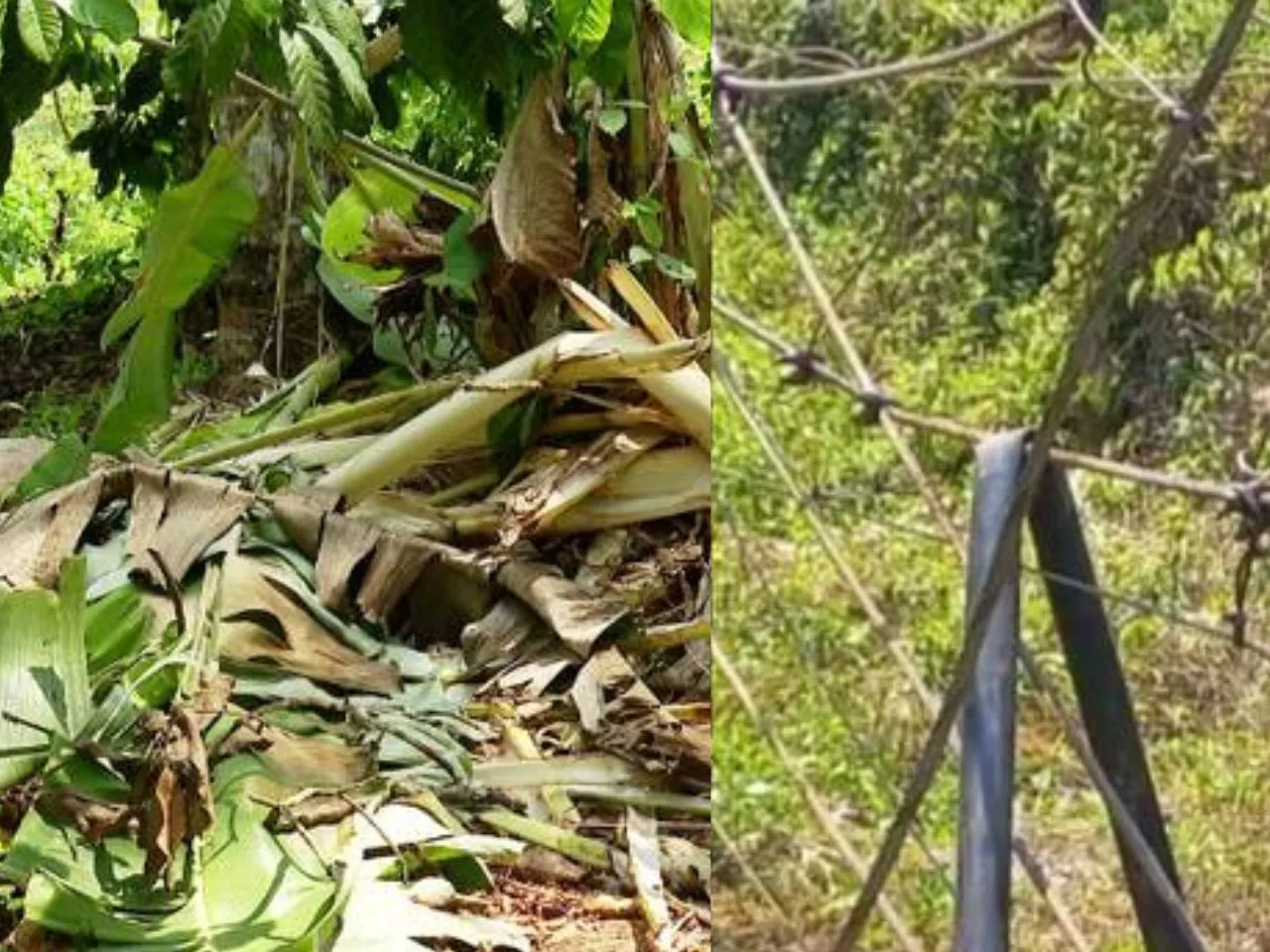 WAYANAD ROPE SENSING