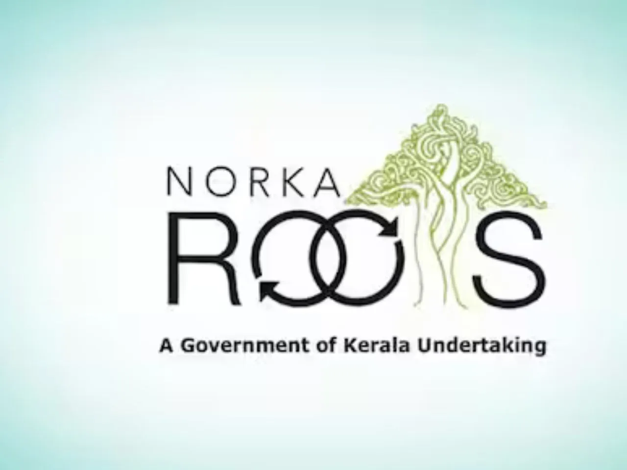 norka roots 