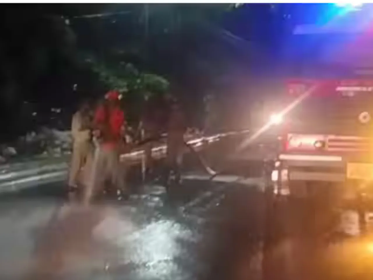 kozhikode njaval pazham