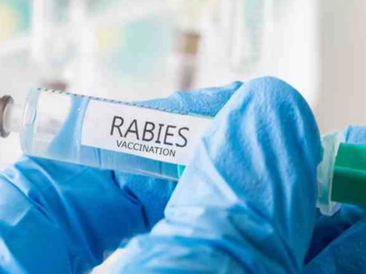 rabies