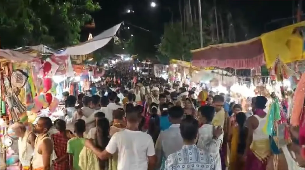 stampede
