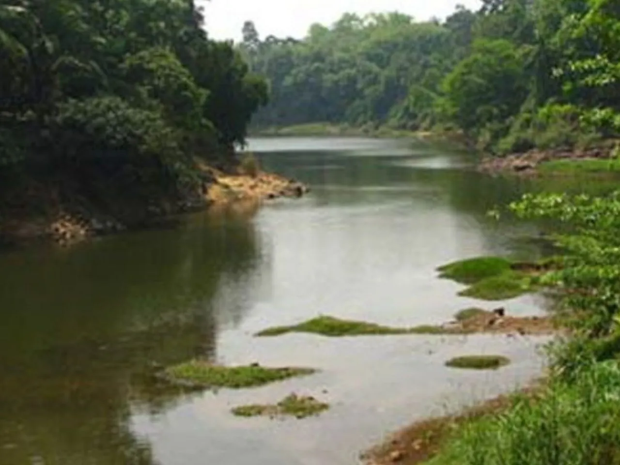 meenachil river 