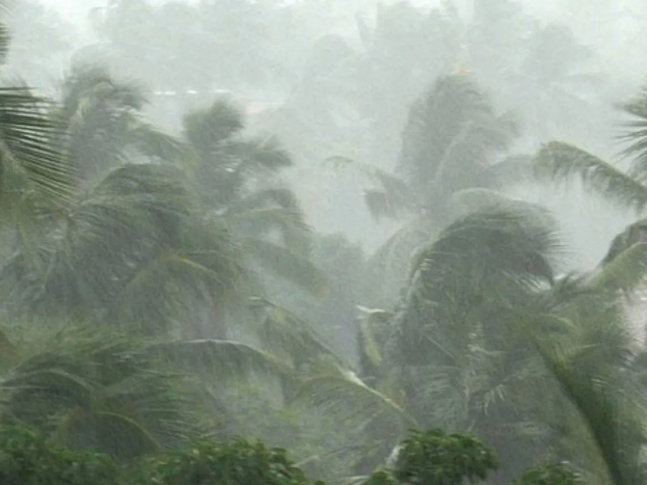 mansoon