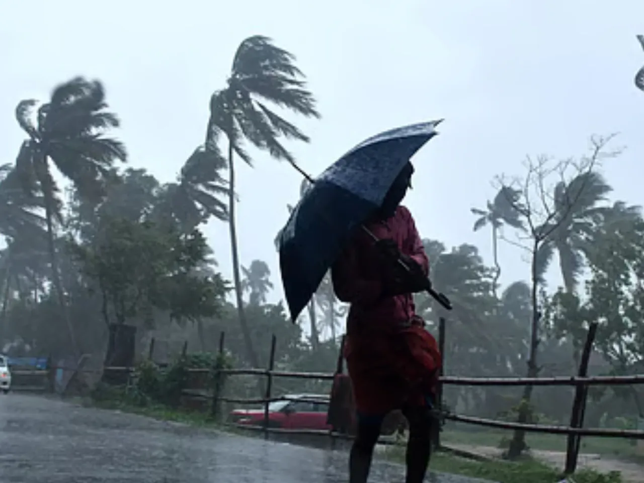 rain image(432)