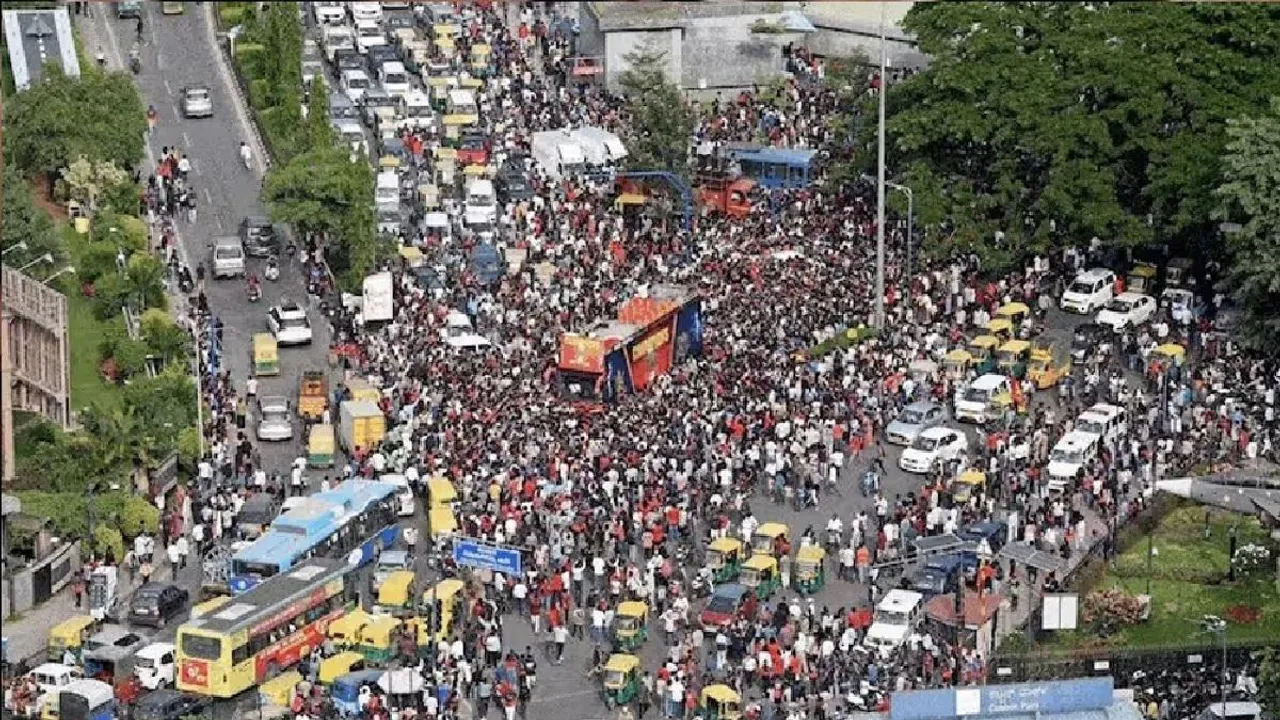 stampede