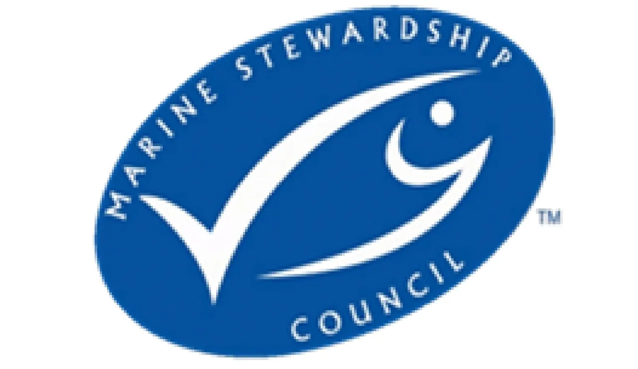 maraine stwenship