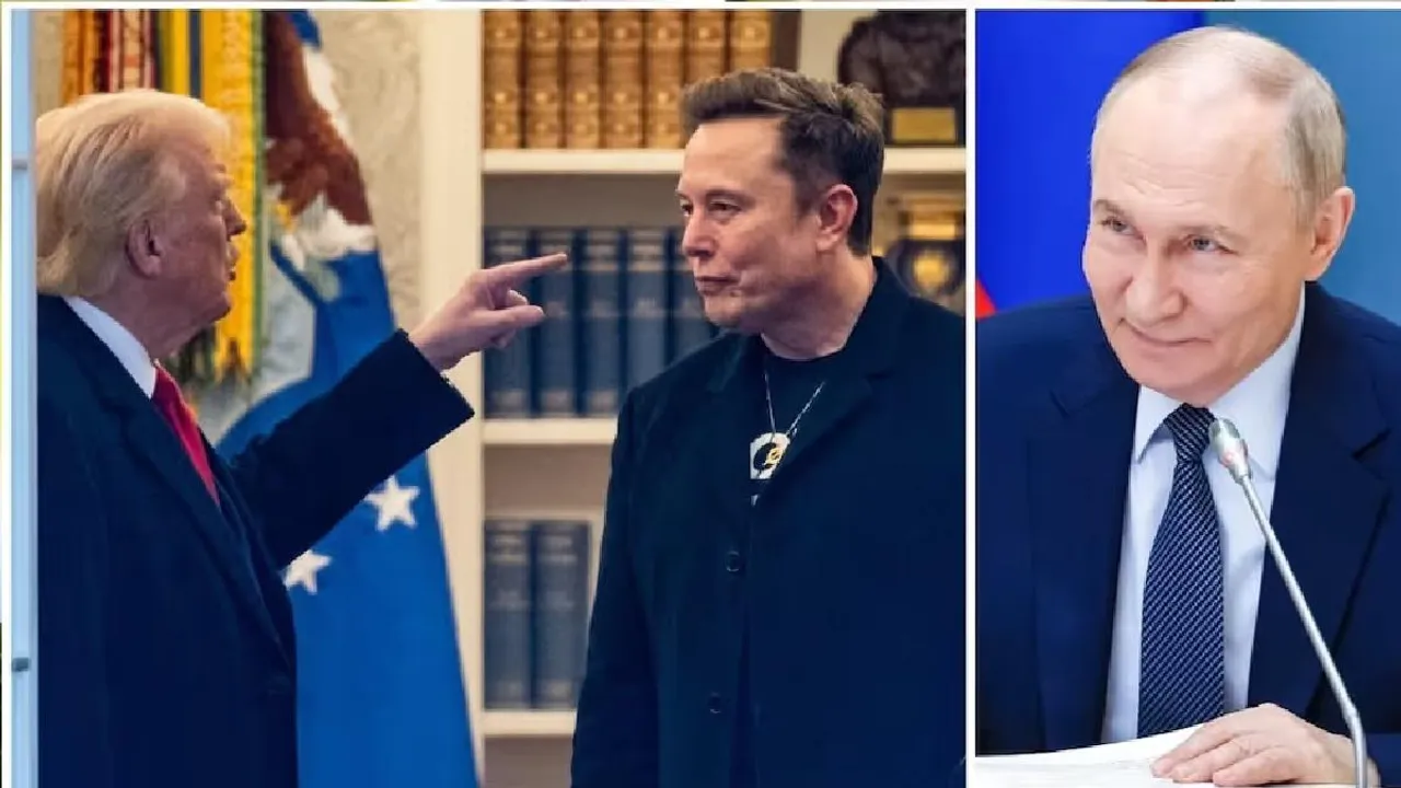 Musk 