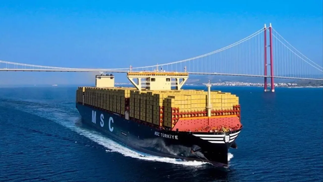msc-irina