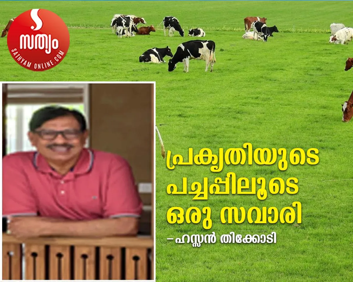 hassan thikodi article