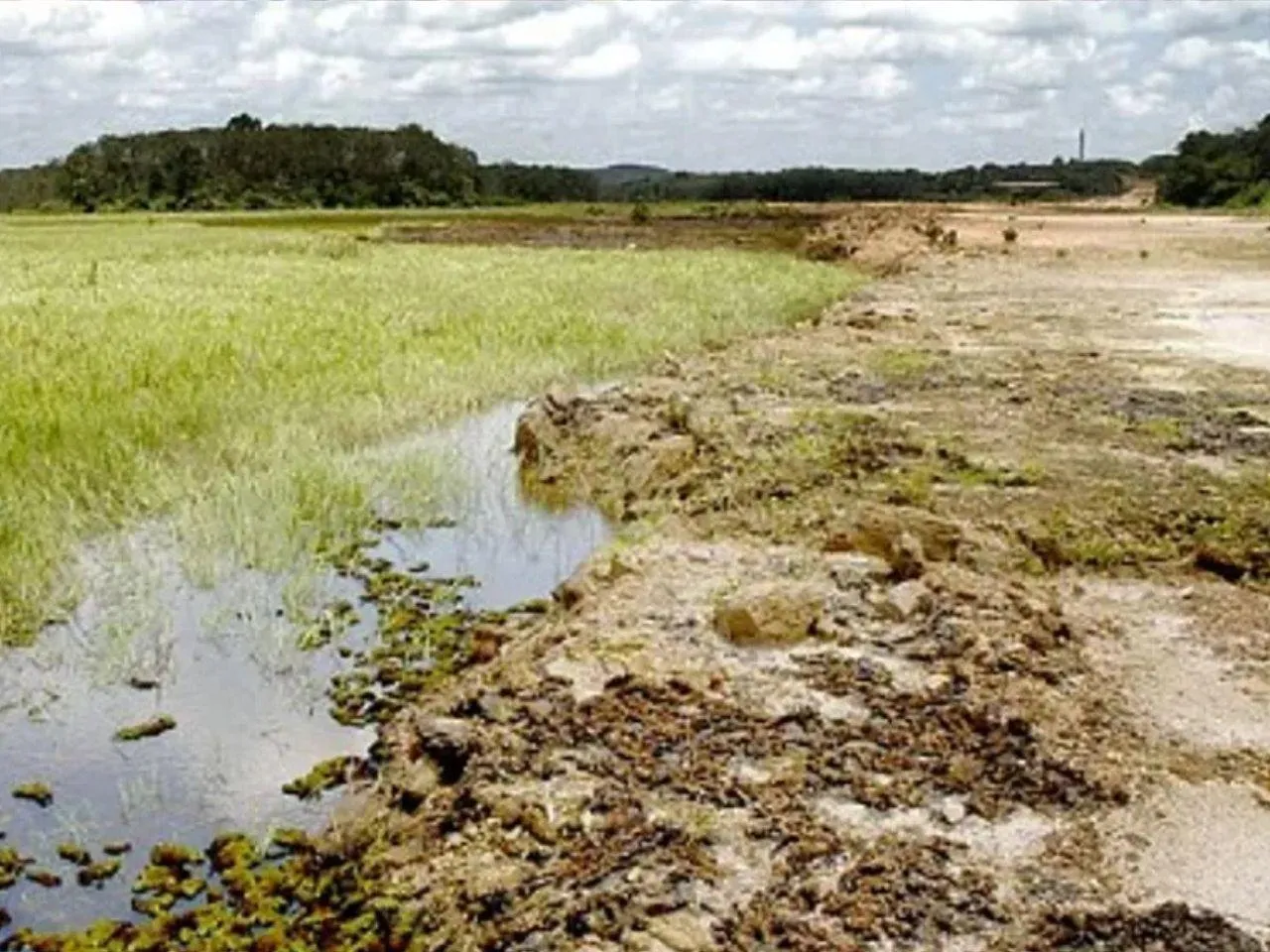 aranmula land 1111