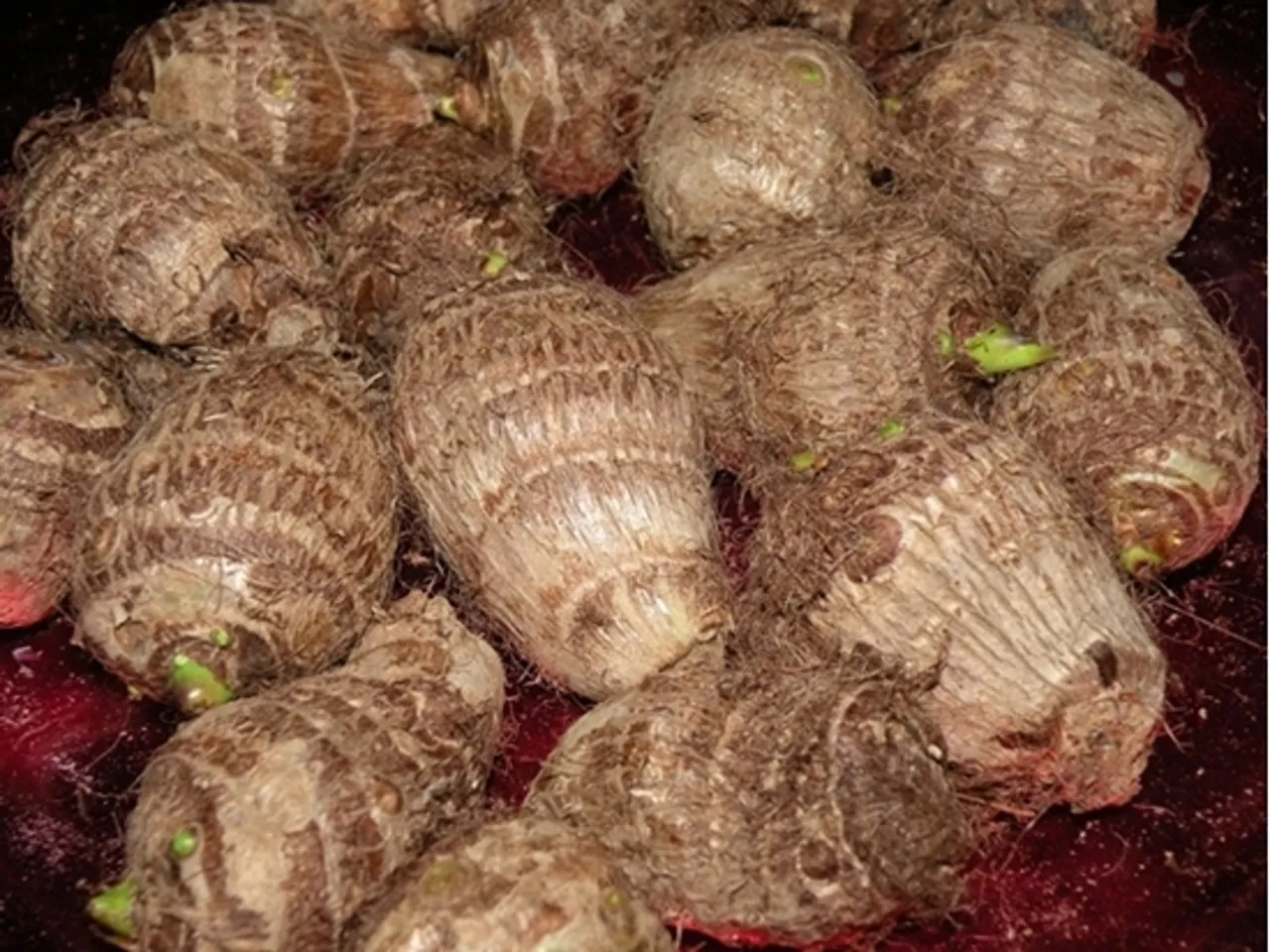 chembu5