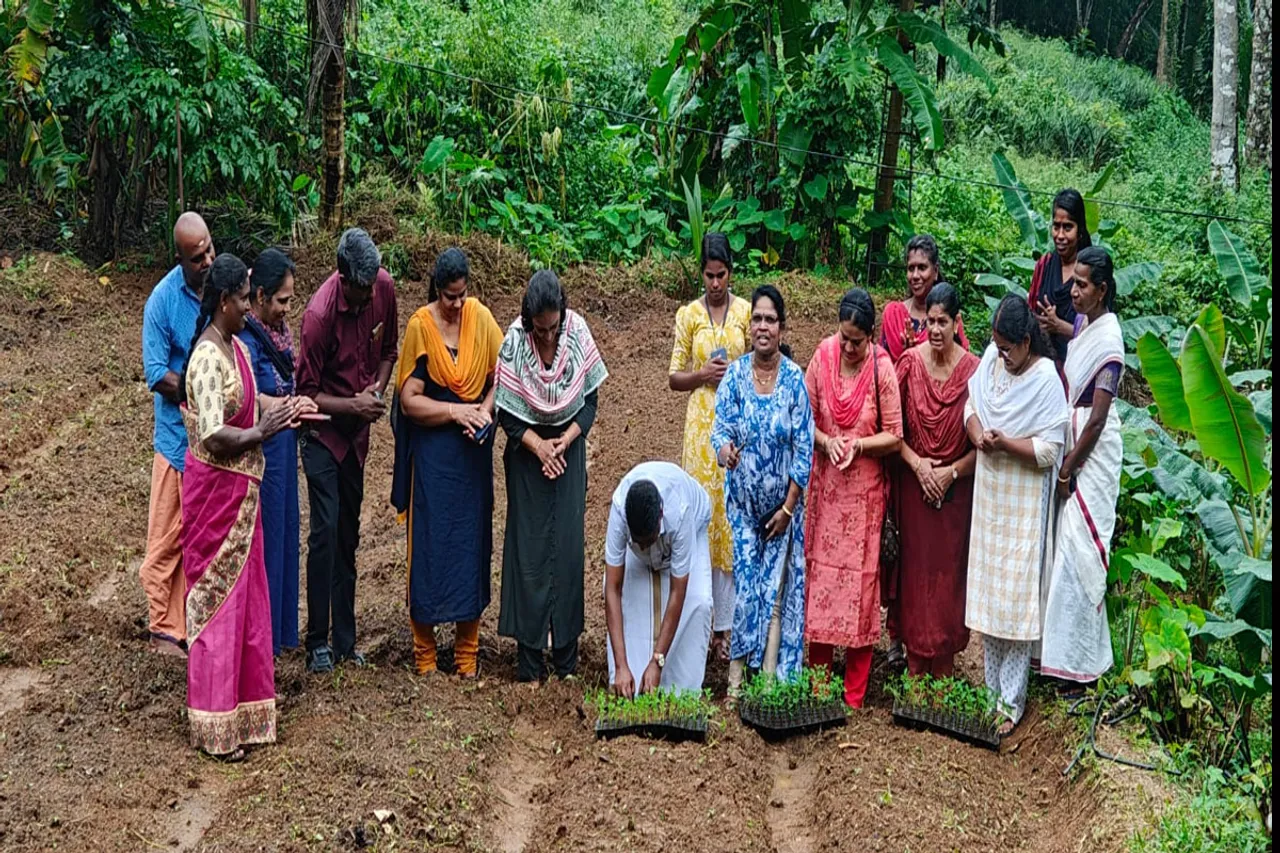 bandhi krishi
