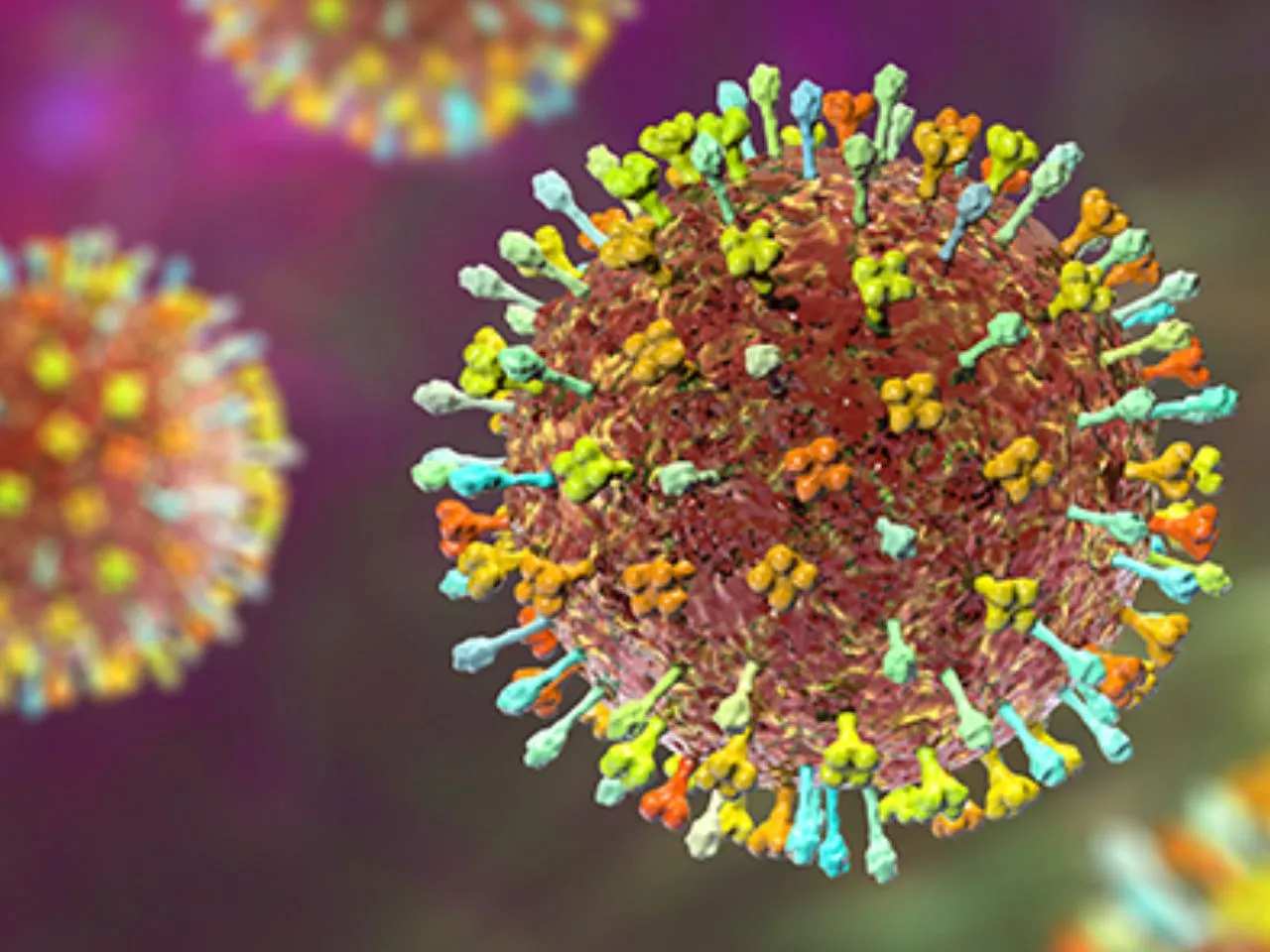 nipah virus