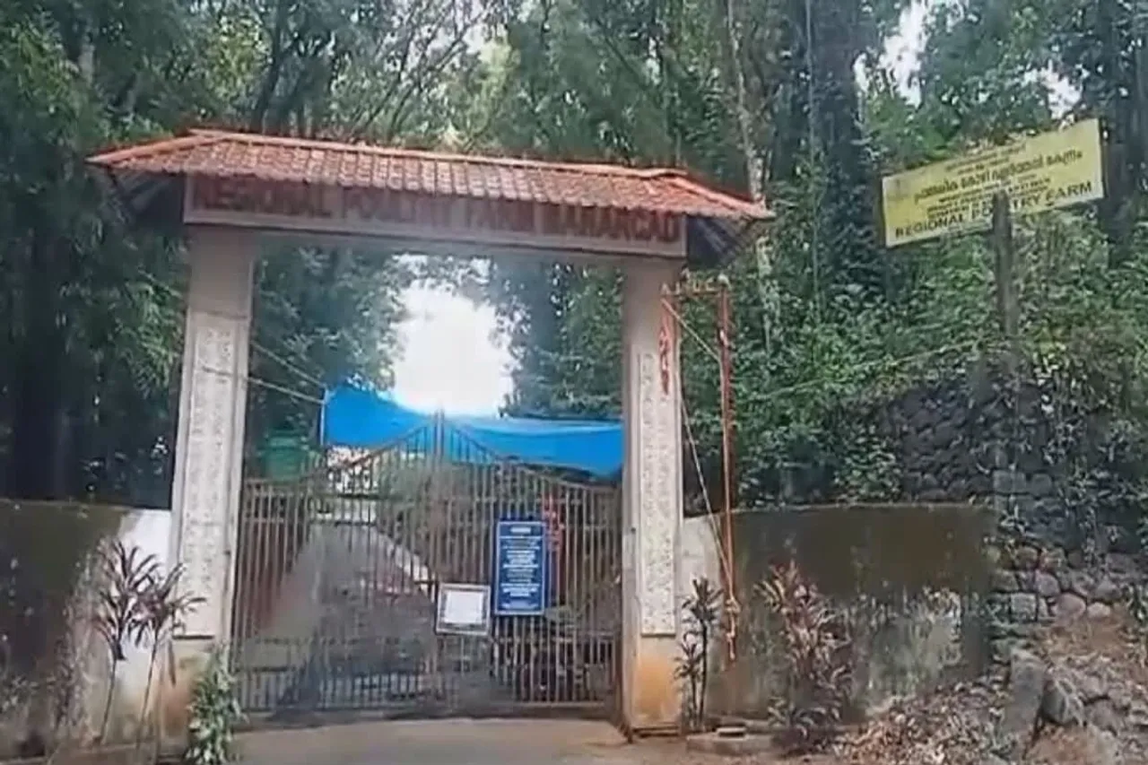 mannarkkad kolzhi farm