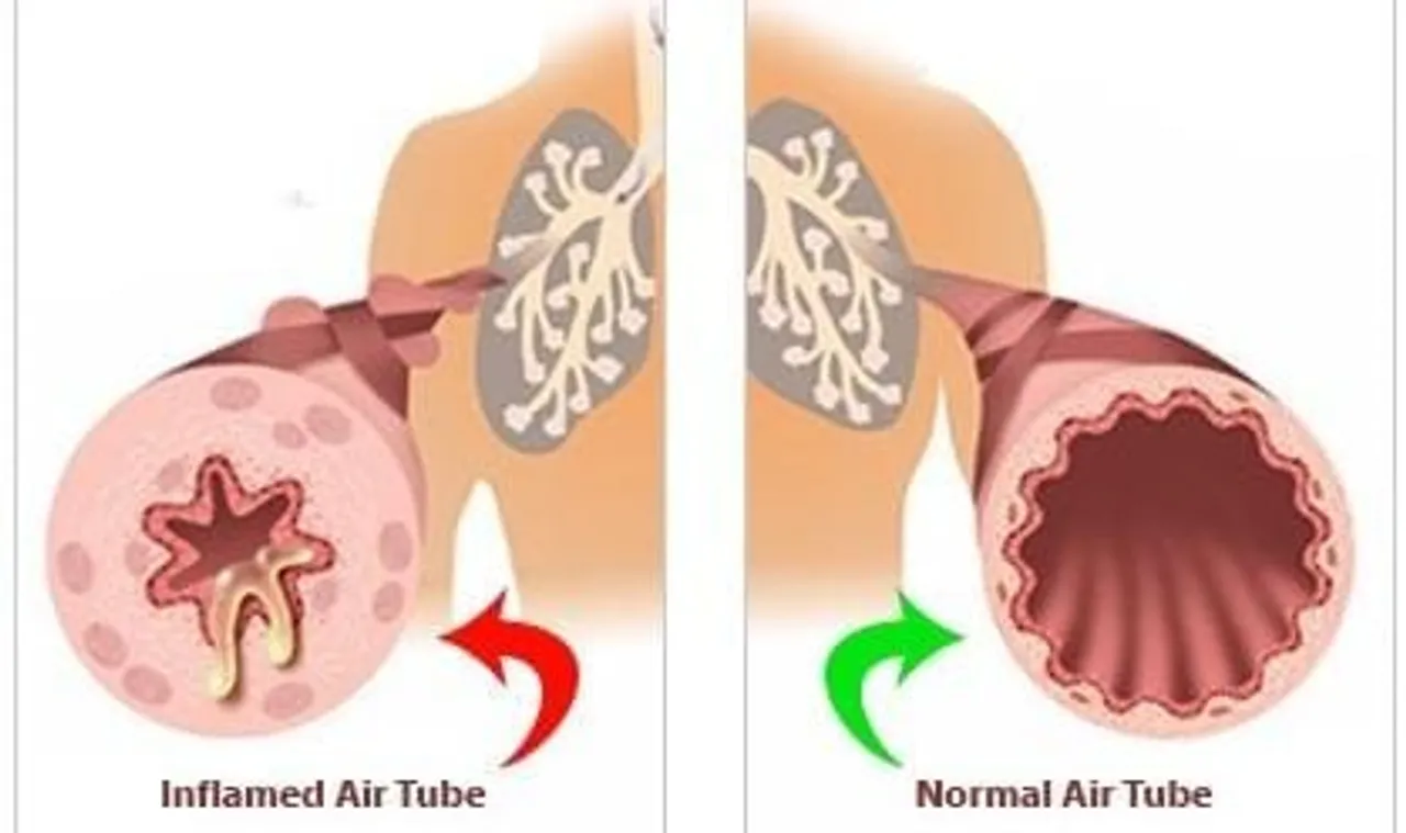 39e9b7c7-5aa8-4d43-8a2d-582d3648d556