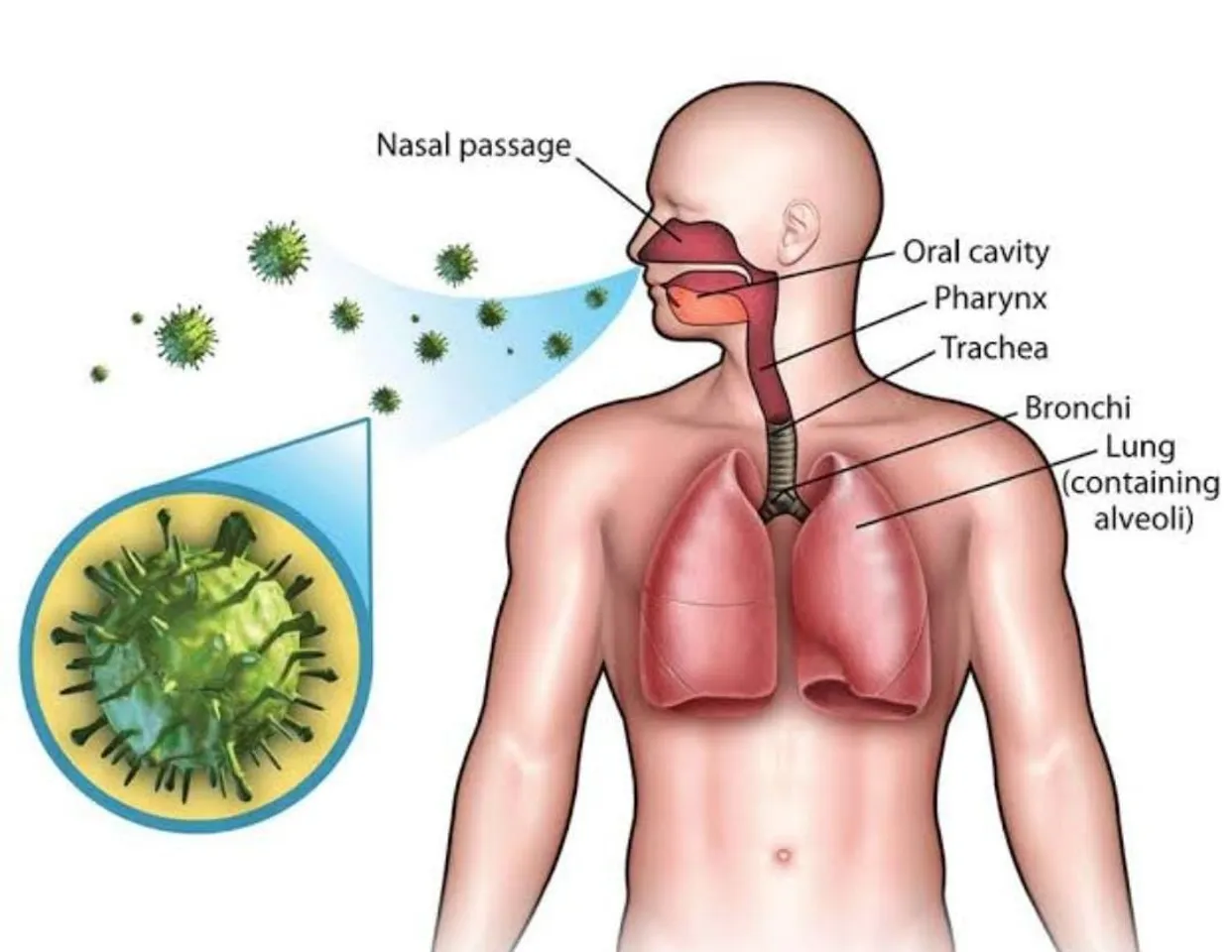 af7ed4cc-6d83-4890-9758-18827dd2ee59