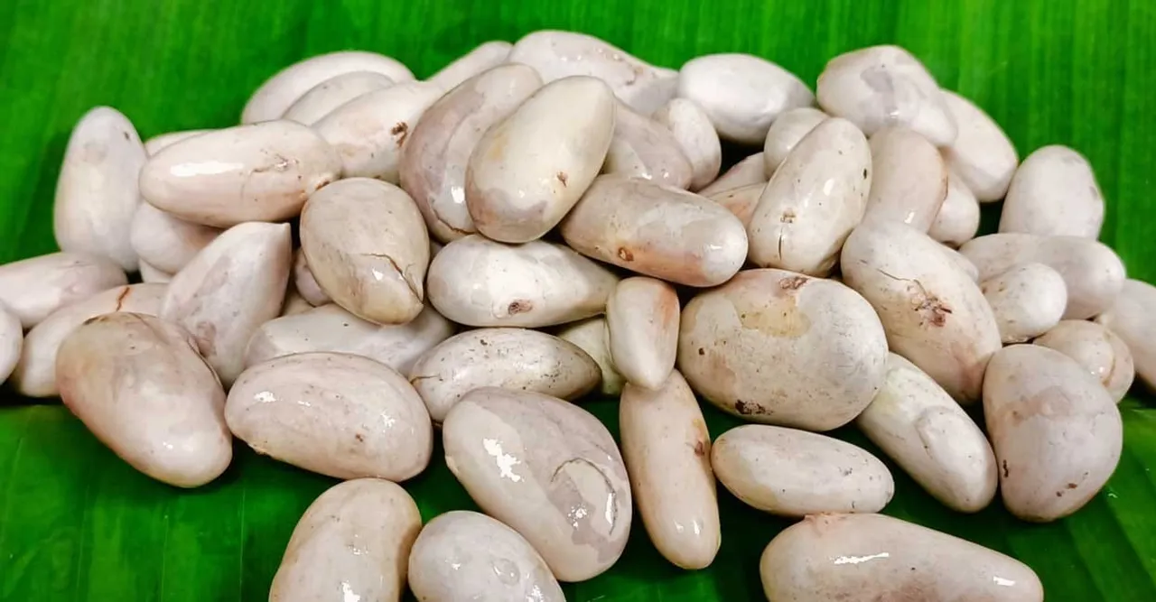 8828e6d9-f232-4e6c-a309-bbb5607caebd (1)