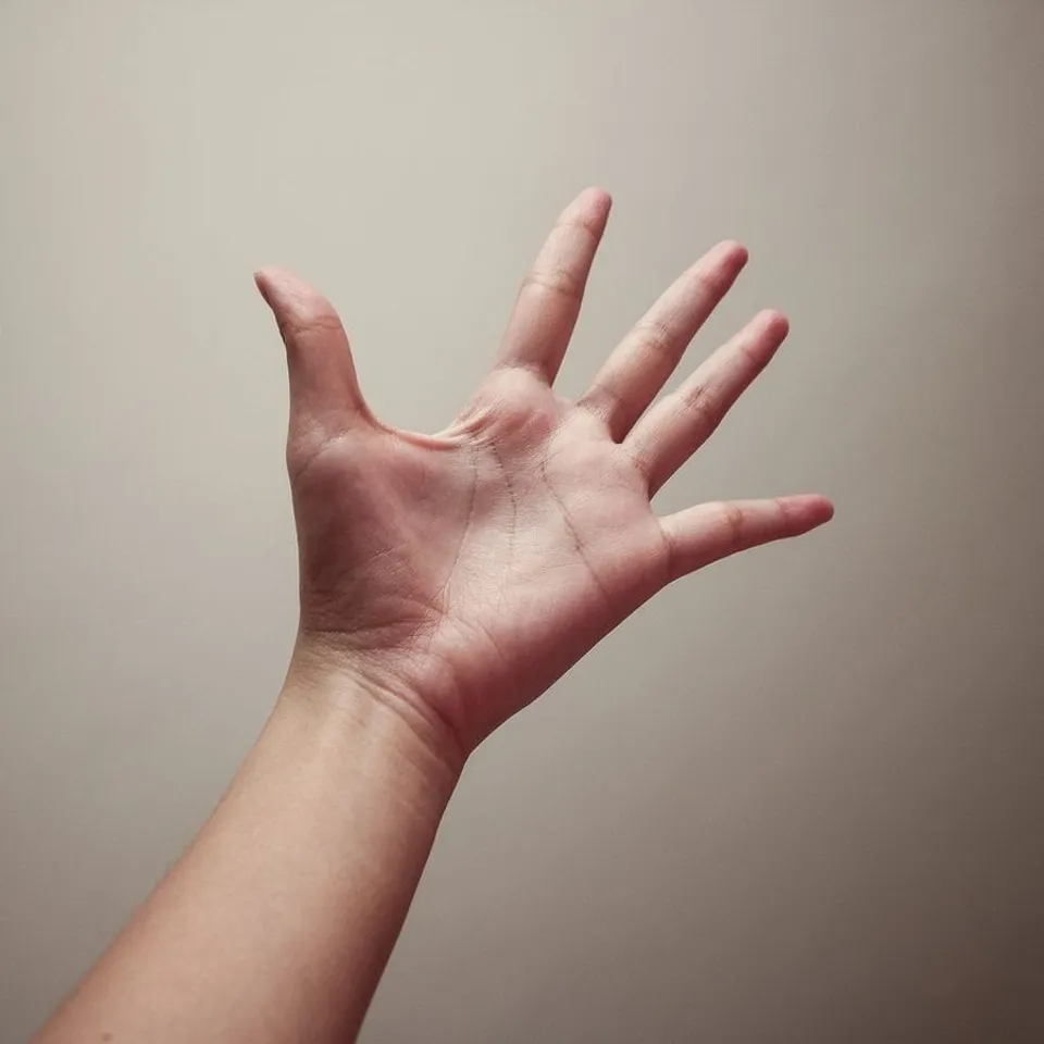 e19b801e-b4dd-431b-84fb-5726c1559ead