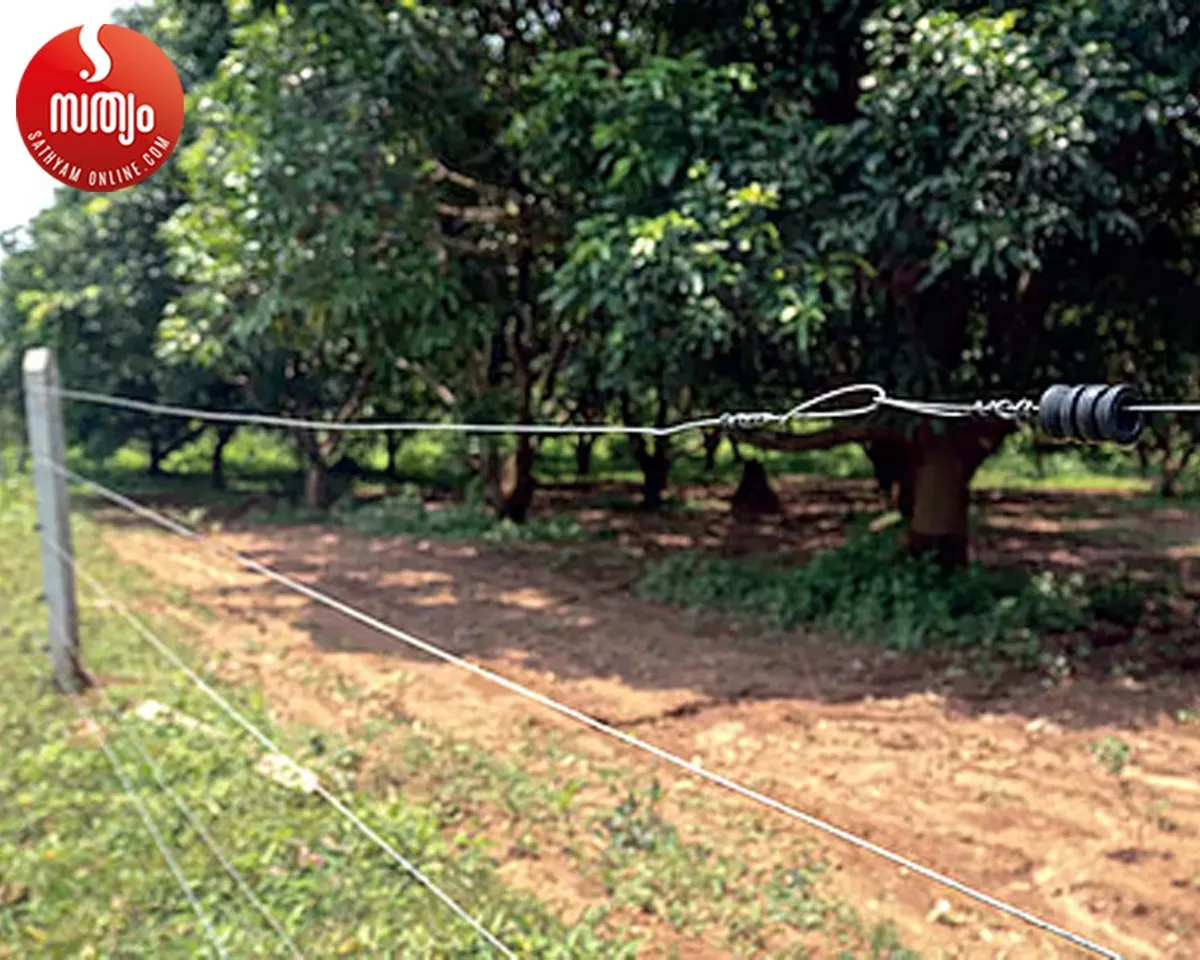 solar fencing