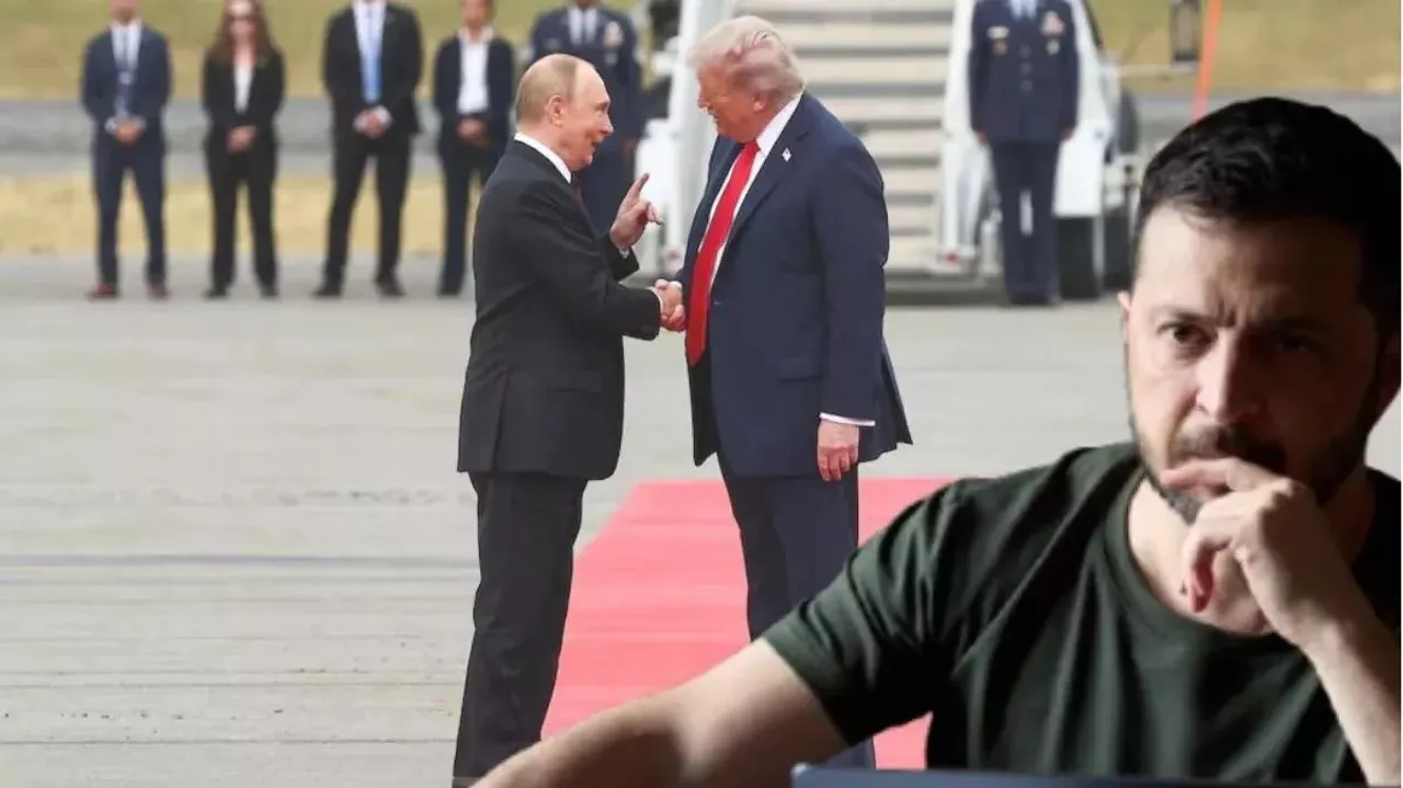 Untitledzele